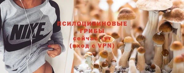 спайс Белокуриха